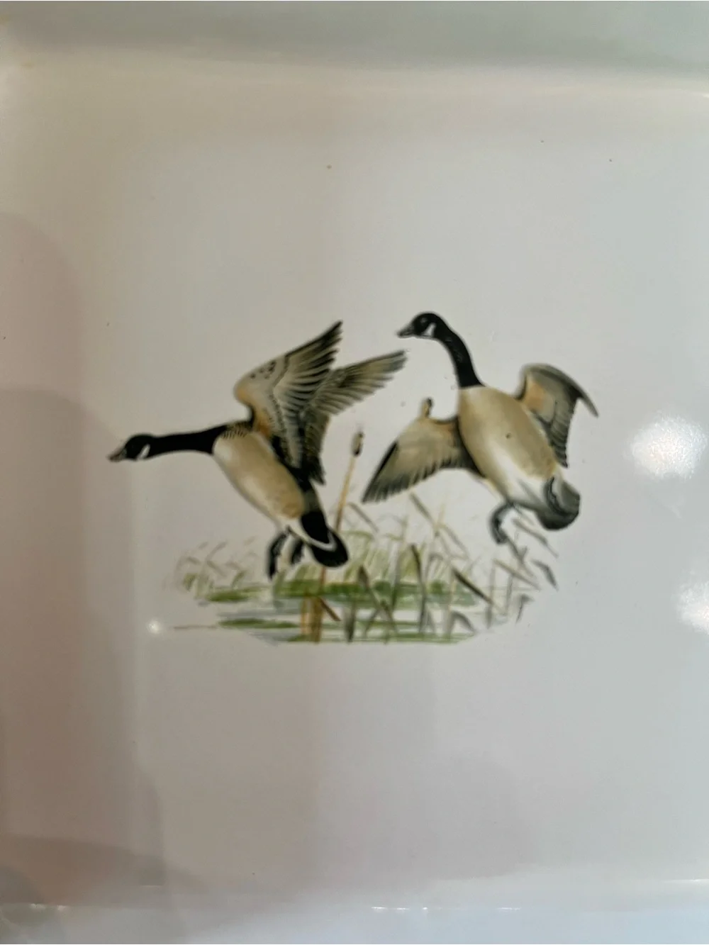 Set of 2 Vintage Prizer-Ware Enameled Cast Iron Square Egg -Model 55 1690